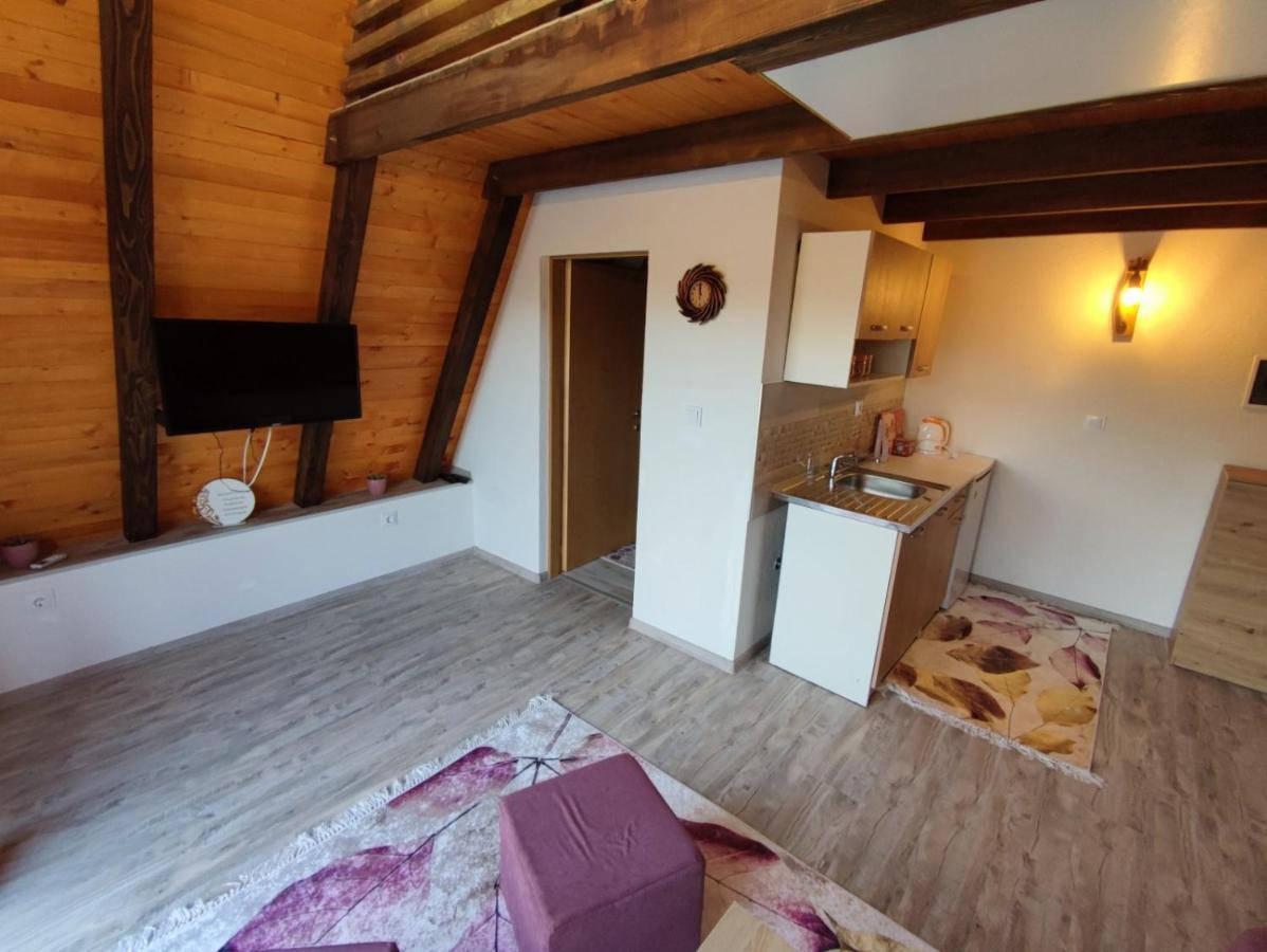 Villa Dream House Bihać エクステリア 写真