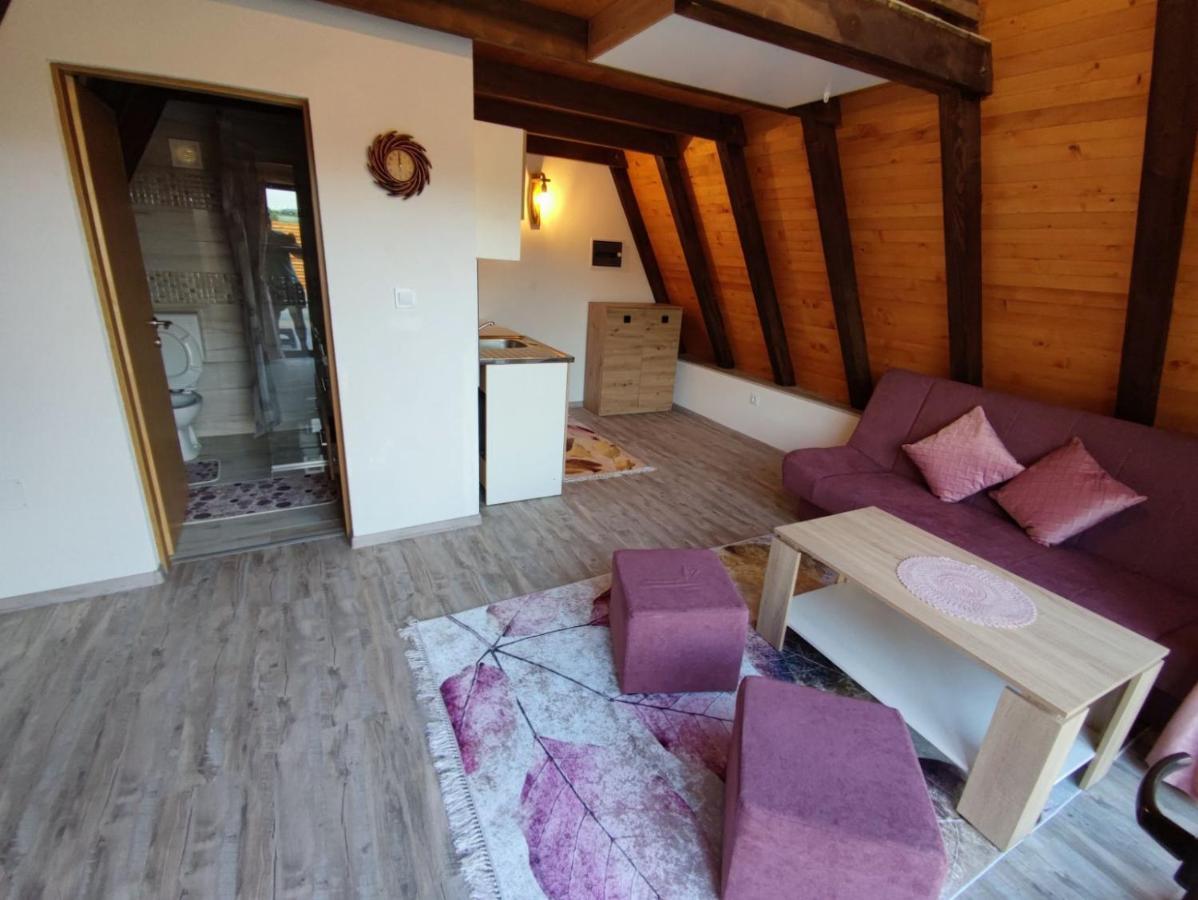Villa Dream House Bihać エクステリア 写真