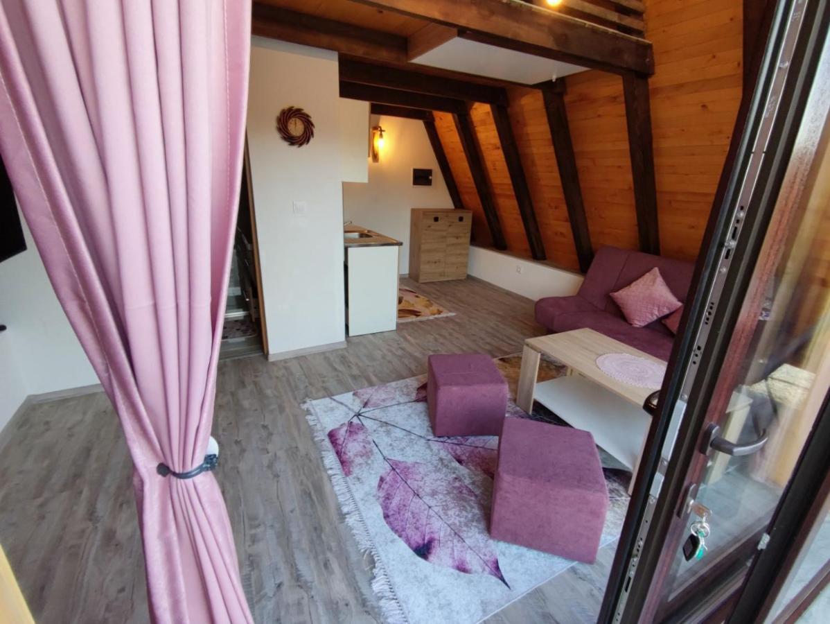 Villa Dream House Bihać エクステリア 写真